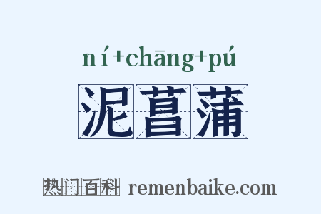 泥菖蒲是什么意思的图片